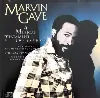 cd marvin gaye - a musical testament 1964 - 1984 (1988)