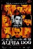 dvd alpha dog