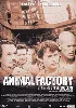 dvd animal factory