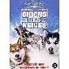 dvd chiens des neiges - edition belge