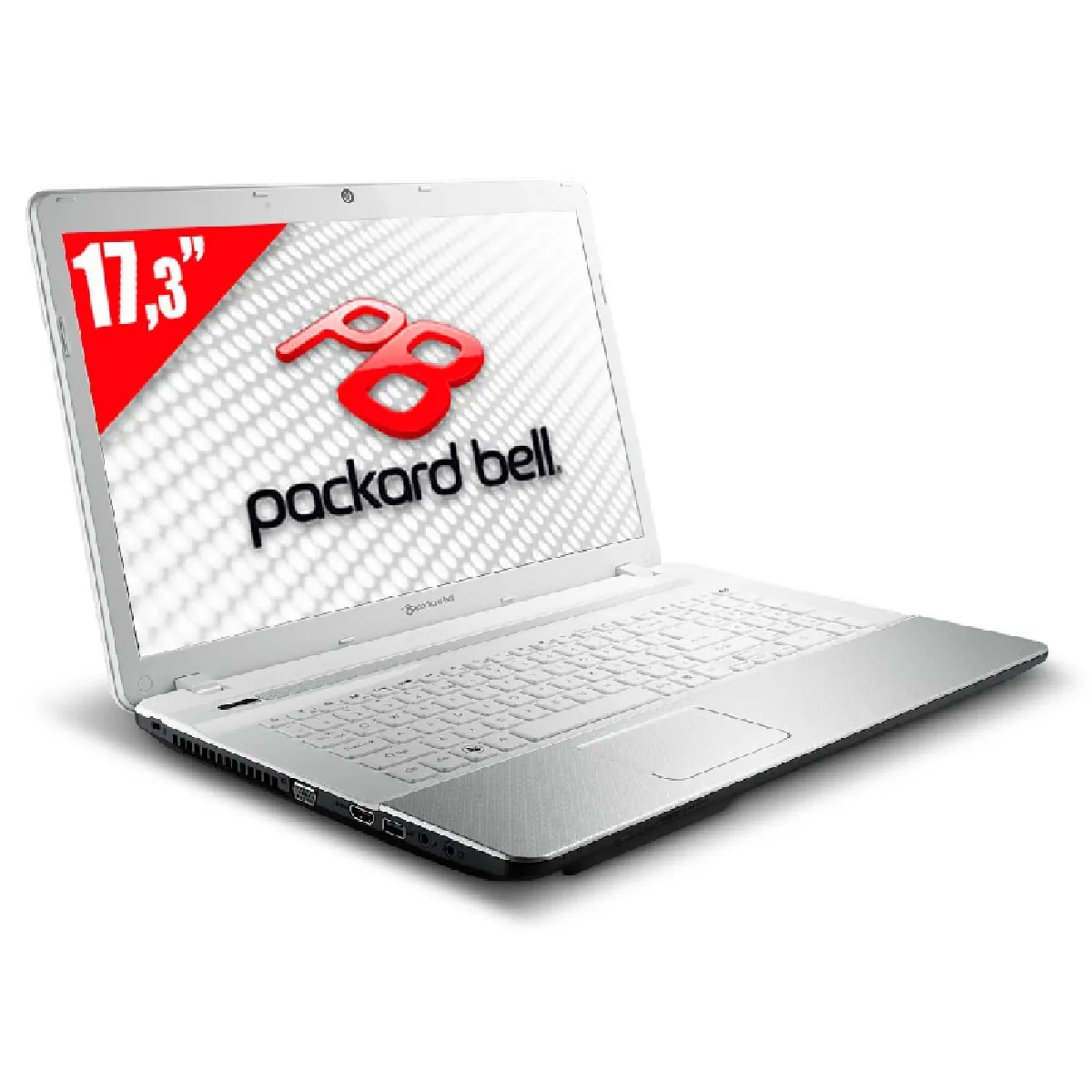 Ordinateur Portable PACKARD BELL EASYNOTE VAB70 AMD - 4 GB RAM - DD 1 TB SSD