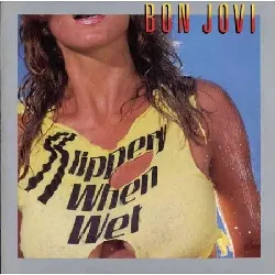 vinyle vynile 33t bon jovi slippery when wet