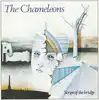 cd the chameleons - script of the bridge (1995)