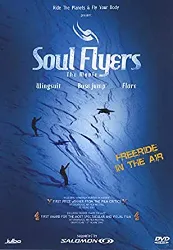 dvd the soul flyers