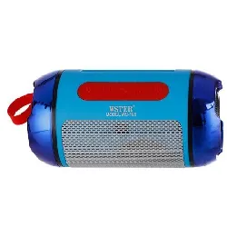 enceinte bluetooth wster ws-100