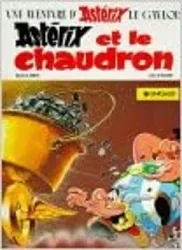 livre asterix et le chaudron