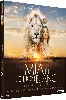 blu-ray mia et le lion blanc - blu - ray