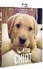 blu-ray une vie de chiot - blu - ray