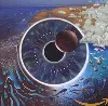 cd pink floyd - pulse (2016)