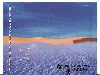 cd various - eden - musiques d'un monde nouveau (1998)