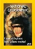 dvd national geographic - lions et hyènes, face à face mortel