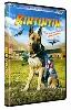 dvd rintintin