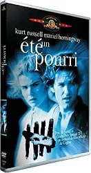 dvd un eté pourri