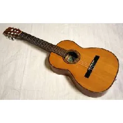 guitare classique violao gianini awn20