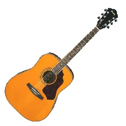 guitare ibanez sgt120e-vbs