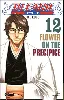 livre bleach - tome 12: flower on the precipice