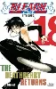 livre bleach - tome 18 : the deathberry returns