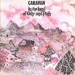 vinyle caravan in the land of grey and pink