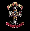 cd appetite for destruction