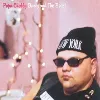 cd popa chubby - booty and the beast (1995)