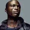 cd seal - seal iv (2004)