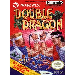 jeu nes nintendo nes/famicom double dragon