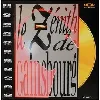 laser disc le zenith de gainsbourg
