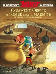 livre astérix - comment obélix est tombé dans la marmite quand il était petit