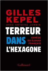 livre terreur dans l'hexagone: 2005 - 2015, genèse du djihad français