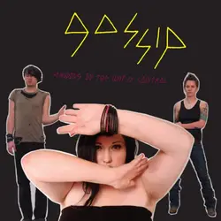 cd gossip - standing in the way of control (2007)