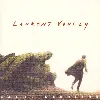 cd laurent voulzy - caché derrière (1992)