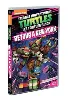 dvd les tortues ninja - vol. 10 : retour à new york