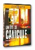 dvd un été de canicule