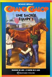 livre une sacrée équipe, numéro 616