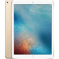 tablette apple ipad pro 12,9" a1584 256 go