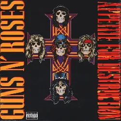 vinyle appetite for destruction