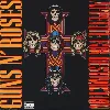 vinyle appetite for destruction