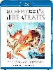 blu-ray dire straits - alchemy live - blu - ray
