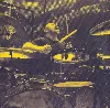 cd led zeppelin - celebration day (2013)