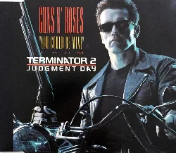 cd you could be mine [import anglais]