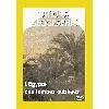 dvd l'egypte des tombes oubliees