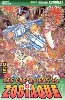 livre saint seiya - les chevaliers du zodiaque - tome 23