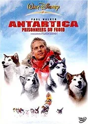 dvd antartica, prisonniers du froid