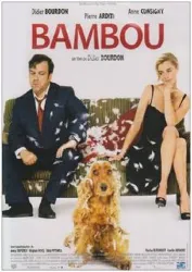 dvd bambou - dvd