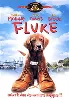 dvd fluke