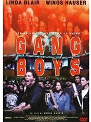 dvd gang boys