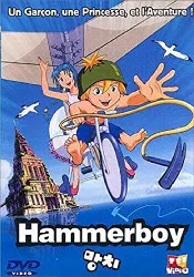 dvd hammerboy