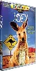 dvd joey