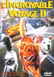 dvd l'incroyable voyage 2 à san francisco