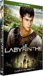 dvd le labyrinthe